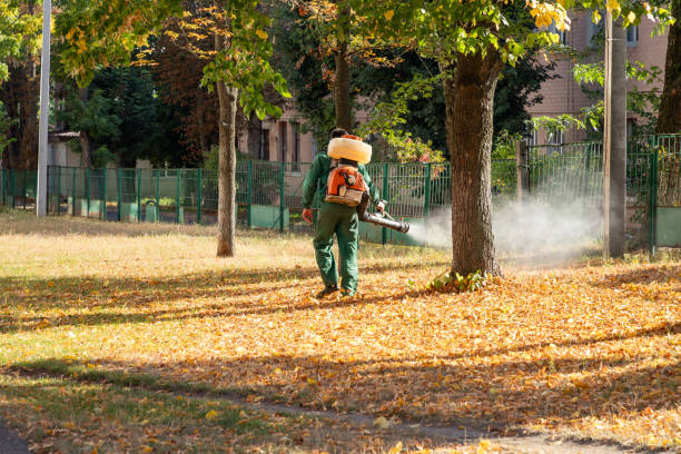 Best Mosquito Control Services  in Amherst, WI