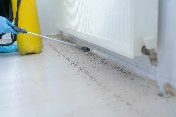 Pest Control Cost in Amherst, WI