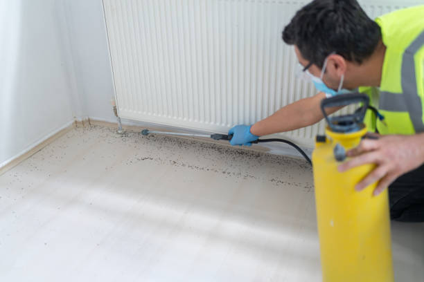 Trusted Amherst, WI Pest Control Experts